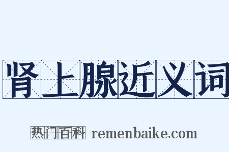 肾上腺近义词是什么意思的图片